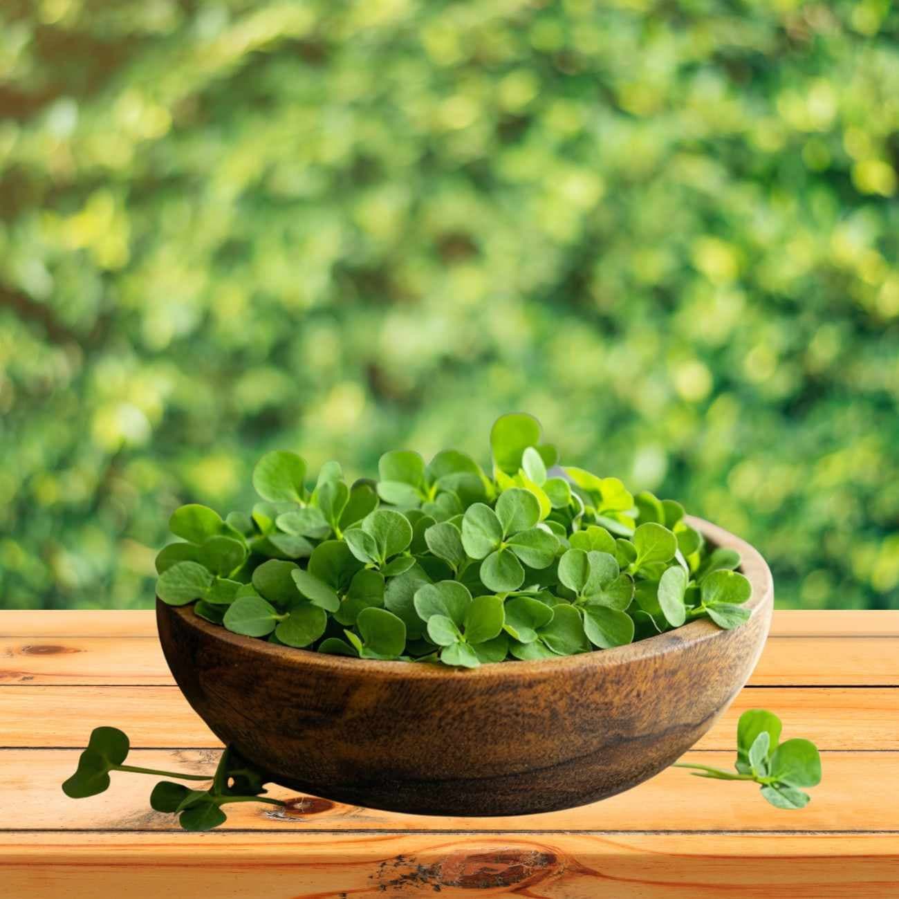 Brahmi